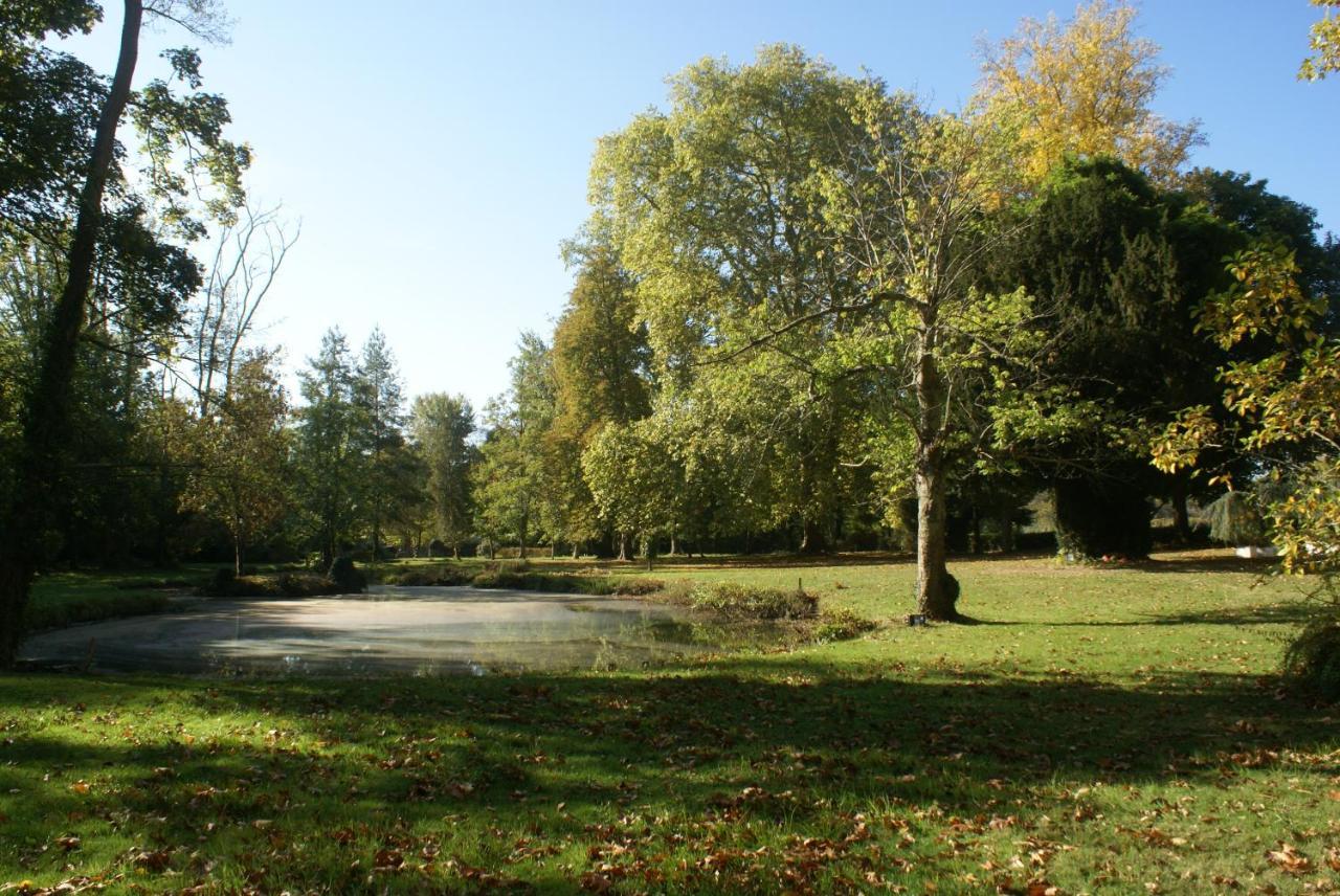 Hostellerie du Château de l'Isle La Croix-en-Touraine Exterior foto